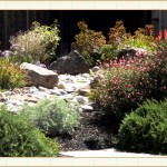 january gardening tasks, landscape design, garden design, vvm designs