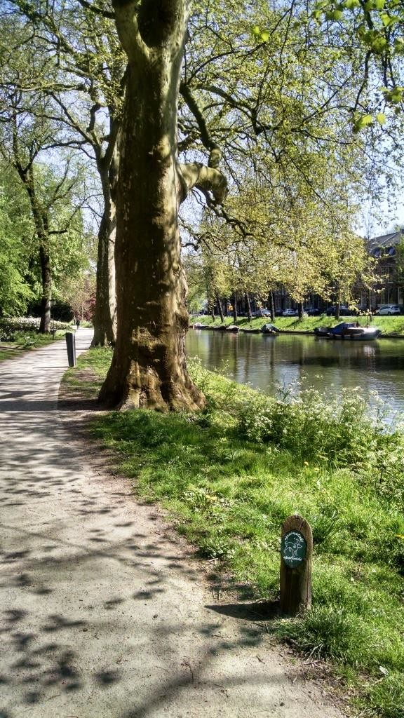 Utrecht Canal