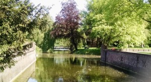 Netherlands Gardens: Kasteel de Haar bei Utrecht (20)