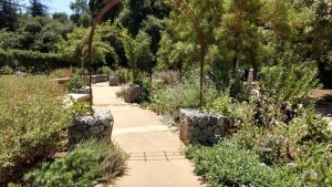 descano gardens 20170617 (1)