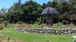 descano gardens 20170617 (27)