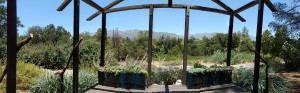 descano gardens 20170617 (62)