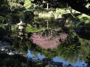 Brisbane Botanical Garden