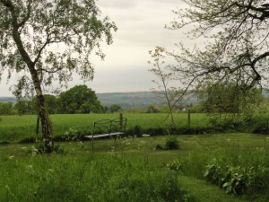 10-hidcote-5