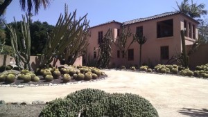 lotusland cactus orig (6)
