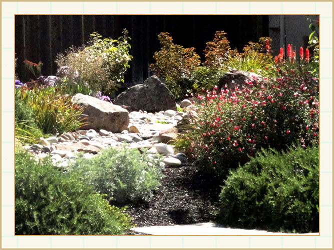 january gardening tasks, landscape design, garden design, vvm designs