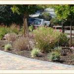 landscape design, garden design, vvm designs