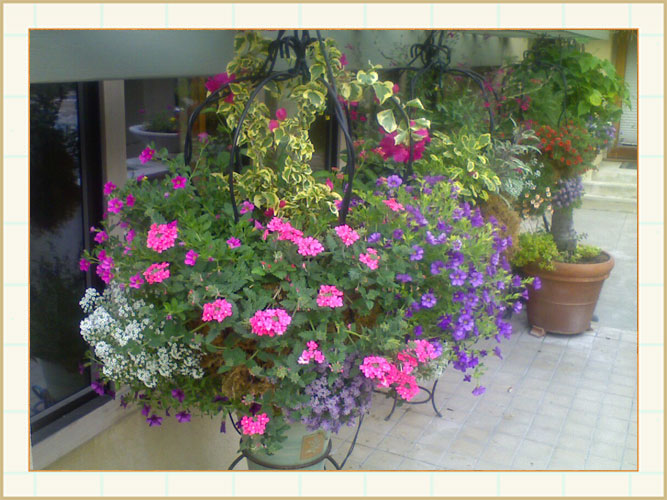 container04_Framed, landscape design, garden design, vvm designs
